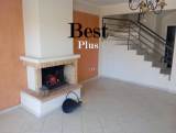 slide1 thumbnail