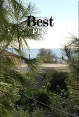 slide1 thumbnail
