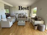 slide1 thumbnail