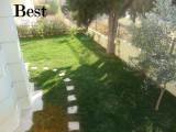 slide1 thumbnail