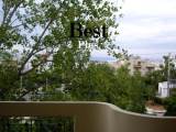 slide1 thumbnail