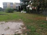 slide1 thumbnail