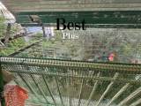 slide1 thumbnail