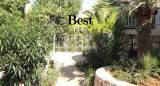 slide1 thumbnail