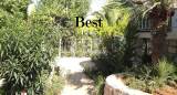 slide1 thumbnail