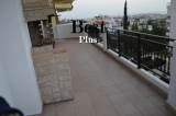 slide1 thumbnail