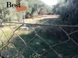 slide1 thumbnail