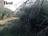 slide1 thumbnail
