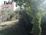 slide1 thumbnail